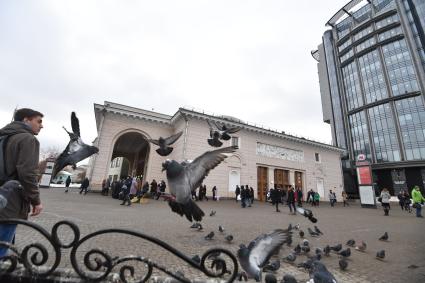 Москва.  Голуби возле станции метро `Парк Культуры`.