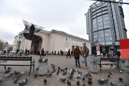 Москва.  Голуби возле станции метро `Парк Культуры`.