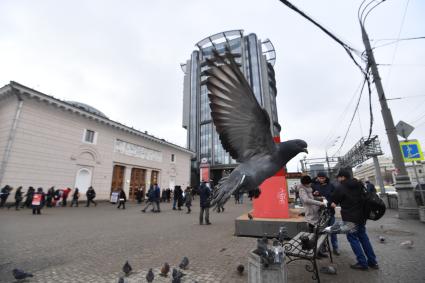 Москва.  Голуби возле станции метро `Парк Культуры`.