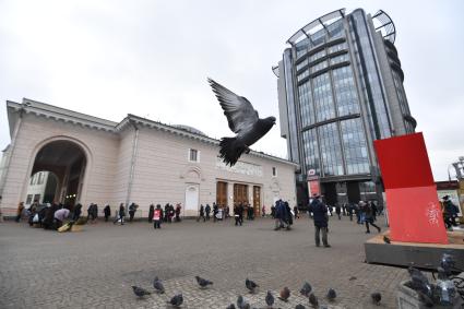 Москва.  Голуби возле станции метро `Парк Культуры`.