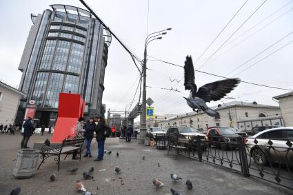 Москва.  Голуби возле станции метро `Парк Культуры`.