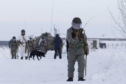 Башкирия. Саперы инженерных  войск с  собака на военном полигоне Алкино-2 во время специальных учений ко Дню инженерных войск.