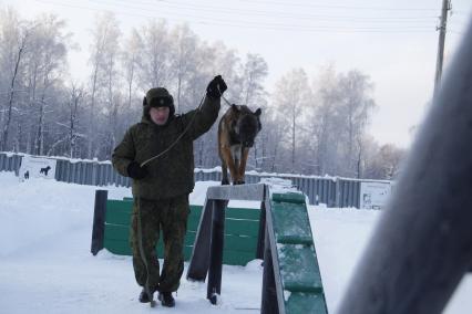 Башкирия. Служебная собака на военном полигоне Алкино-2 во время специальных учений ко Дню инженерных войск.