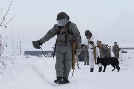 Башкирия. Сапер  инженерных  войск на военном полигоне Алкино-2 во время специальных учений ко Дню инженерных войск.