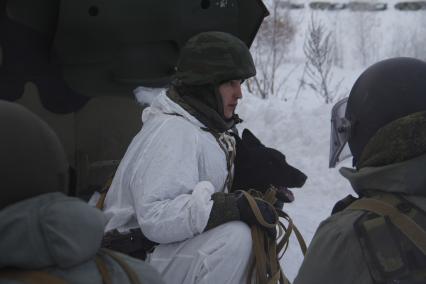 Башкирия. Сапер  инженерных  войск с  собака на военном полигоне Алкино-2 во время специальных учений ко Дню инженерных войск.