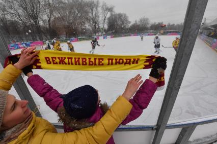 Москва. Хоккейный матч во время  флешмоба  в парке Горького.