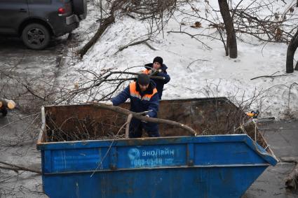 Москва. Сотрудники коммунальных служб  убирают ветки деревьев в мусорный контейнер.