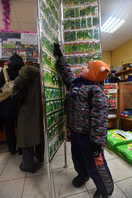 Москва. Мальчик рассматривает семена огурцов на стенде в магазине.