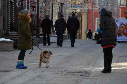 Москва.   Женщина с собакой породы бульдог в Столешниковом переулке.