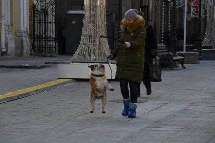 Москва.   Женщина с собакой породы бульдог в Столешниковом переулке.