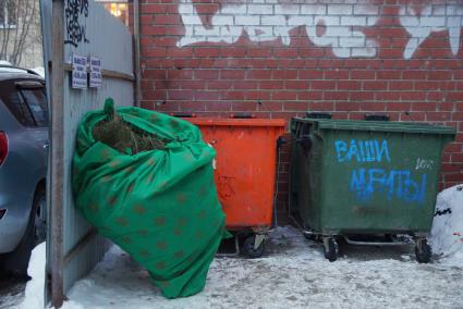 Екатеринбург. Выброшеная новогодняя елка на помойке