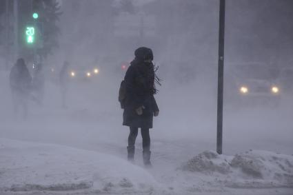 Барнаул. Прохожие на улице во время метели.