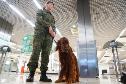 Екатеринбург. Международный аэропорт \'Кольцово\'. Кинолог Уральской таможни с служебной собакой в зоне прилета