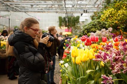 Москва. Девушка фотографирует тюльпаны в  `Аптекарском огороде` Ботанического сада МГУ.