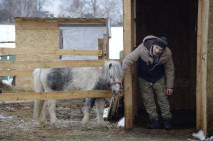 Тульская область. Пони в вольере на ферме `Марк и Лев`.