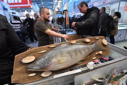 Москва.   Муляж рыбы  на выставке `Охота и рыболовство на Руси` на ВДНХ.