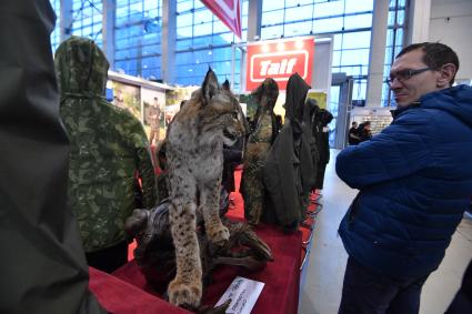 Москва.  Мужчина смотрит на чучело рыси на выставке `Охота и рыболовство на Руси` на ВДНХ.