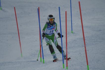 Сочи.  Соревнования по горнолыжному спорту   на III Всемирных зимних военных играх .