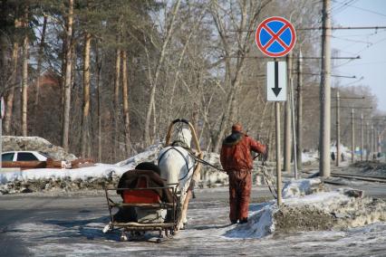 Барнаул. Запряженная в сани лошадь на одной из улиц города.