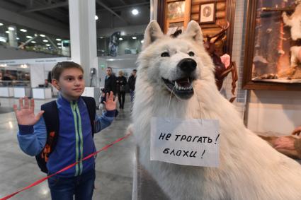 Москва. Мальчик рассматривает чучело полярного волка на 22-й Международной выставке `Охота. Рыбалка`  в МВЦ `Крокус Экспо`.