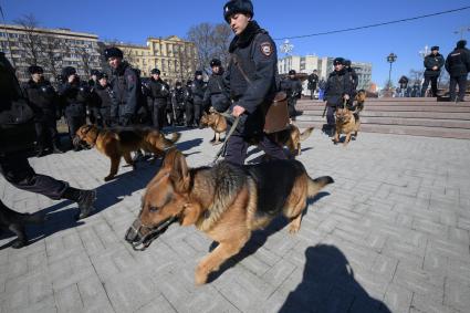 Москва.  Сотрудники полиции во время  несанкционированной акции против коррупции сторонников оппозиционера Алексея Навального на Тверском бульваре.