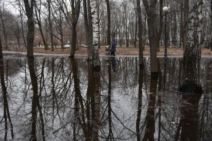 Москва.  Женщина с детской коляской в Петровском парке.