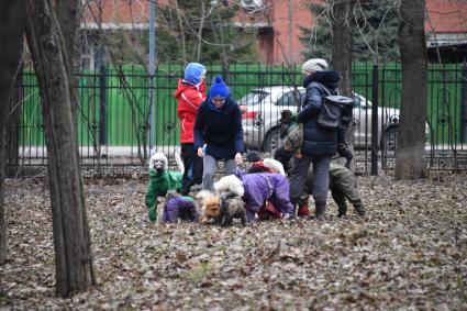 Москва. Женщины выгуливают собак в Петровском парке.