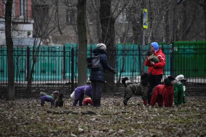 Москва. Женщины выгуливают собак в Петровском парке.