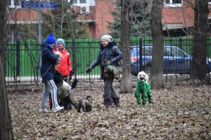 Москва. Женщины выгуливают собак в Петровском парке.