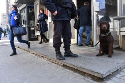 Москва. Усиление мер безопасности в московском метрополитене после взрыва в вагоне метро в Санкт-Петербурге. Сотрудник полиции с собакой возле входа на станцию метро `Белорусская`.