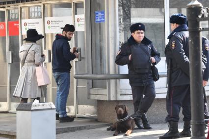 Москва. Усиление мер безопасности в московском метрополитене после взрыва в вагоне метро в Санкт-Петербурге. Сотрудник полиции с собакой возле входа на станцию метро `Белорусская`.