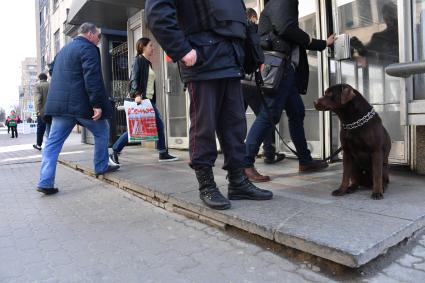 Москва. Усиление мер безопасности в московском метрополитене после взрыва в вагоне метро в Санкт-Петербурге. Сотрудник полиции с собакой возле входа на станцию метро `Белорусская`.