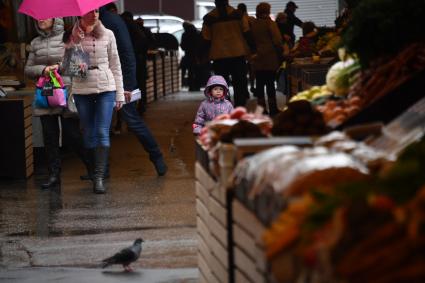 Москва. Покупатели  на ярмарке выходного дня.