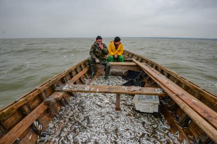 Украина, Новоазовский район , Безыменное. Промысловый лов рыбы в Таганрогском заливе.