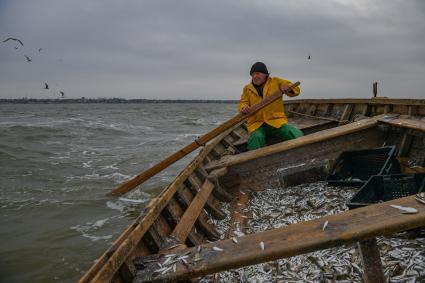 Украина, Новоазовский район , Безыменное. Промысловый лов рыбы в Таганрогском заливе.