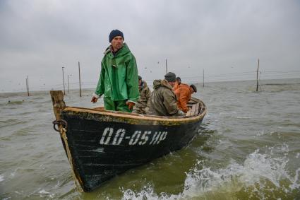 Украина, Новоазовский район , Безыменное. Промысловый лов рыбы в Таганрогском заливе.