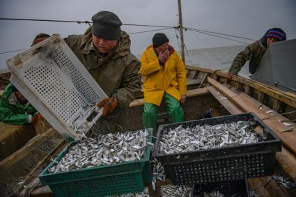 Украина, Новоазовский район , Безыменное. Промысловый лов рыбы в Таганрогском заливе.