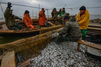 Украина, Новоазовский район , Безыменное. Промысловый лов рыбы в Таганрогском заливе.