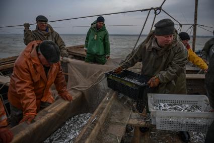 Украина, Новоазовский район , Безыменное. Промысловый лов рыбы в Таганрогском заливе.