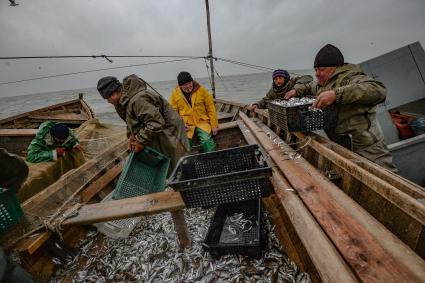 Украина, Новоазовский район , Безыменное. Промысловый лов рыбы в Таганрогском заливе.