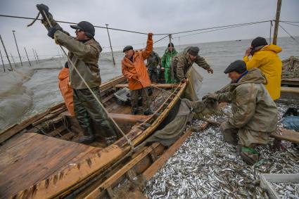 Украина, Новоазовский район , Безыменное. Промысловый лов рыбы в Таганрогском заливе.