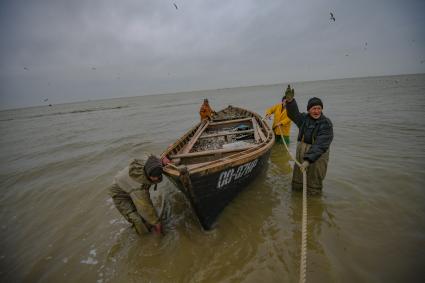 Украина, Новоазовский район , Безыменное. Промысловый лов рыбы в Таганрогском заливе.