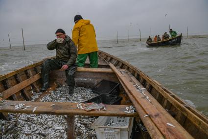 Украина, Новоазовский район , Безыменное. Промысловый лов рыбы в Таганрогском заливе.