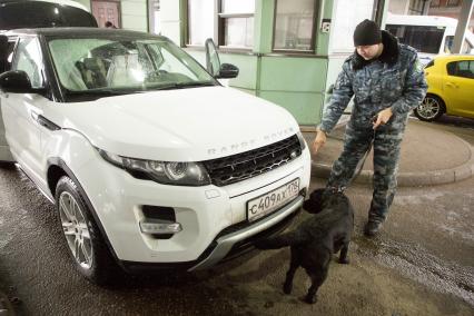 Ленинградская область.  Сотрудник таможенной службы РФ с собакой осуществляет досмотр автомобиля  на контрольно-пропускном пункте  `Торфяновка`  российско-финляндской границы.