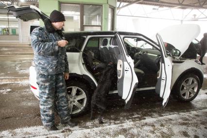 Ленинградская область.  Сотрудник таможенной службы РФ с собакой осуществляет досмотр автомобиля  на контрольно-пропускном пункте  `Торфяновка`  российско-финляндской границы.