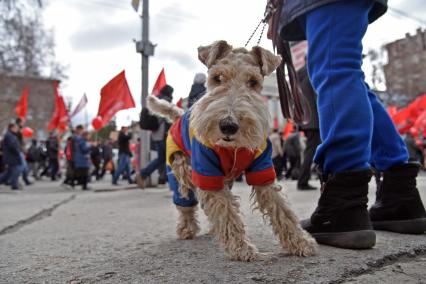 Новосибирск. Во время первомайского шествия КПРФ на Красном проспекте.