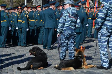 Москва.  Участники парада  и полицейские с собаками перед началом репетиции.