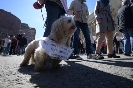 Москва. Митинг на проспекте Академика Сахарова против сноса пятиэтажек.