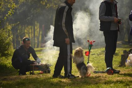 Москва. Отдыхающие во время приготовления шашлыка в парке `Кузьминки`.