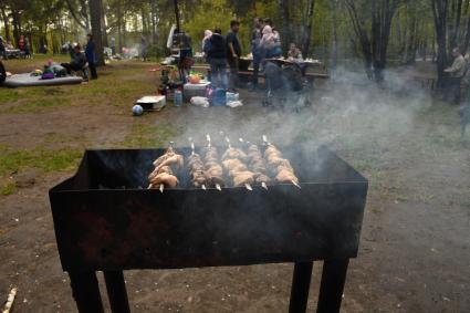 Москва. Отдыхающие во время приготовления шашлыка в парке `Кузьминки`.